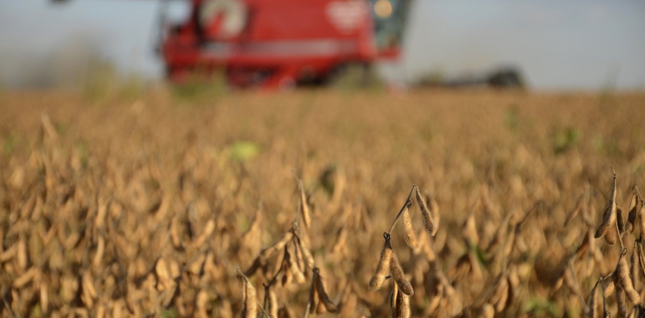 Brecha impositiva y pérdida de competitividad frente a Brasil y Uruguay: el agro argentino paga hasta 70% de su renta al Estado