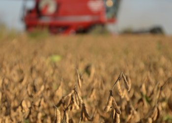 Subió la presión impositiva al campo y el Estado se queda con casi dos tercios de la renta del productor