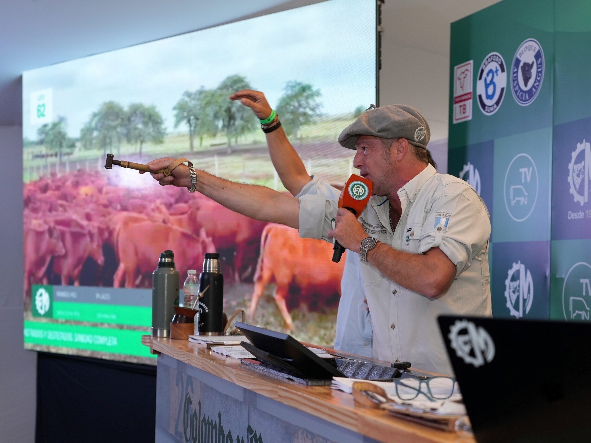 Los remates de hacienda rompieron todos los récords en el autódromo