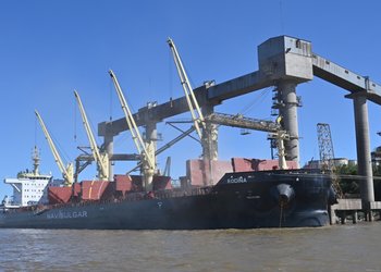 Las exportaciones agroindustriales subieron 7% en el primer bimestre del año y sumaron casi US$ 7.500 millones