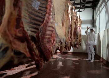 “Recontra ajustados”: en la cadena de la carne inquieta el poder adquisitivo y la informalidad
