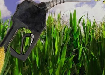 Un choclo en el tanque... del tractor