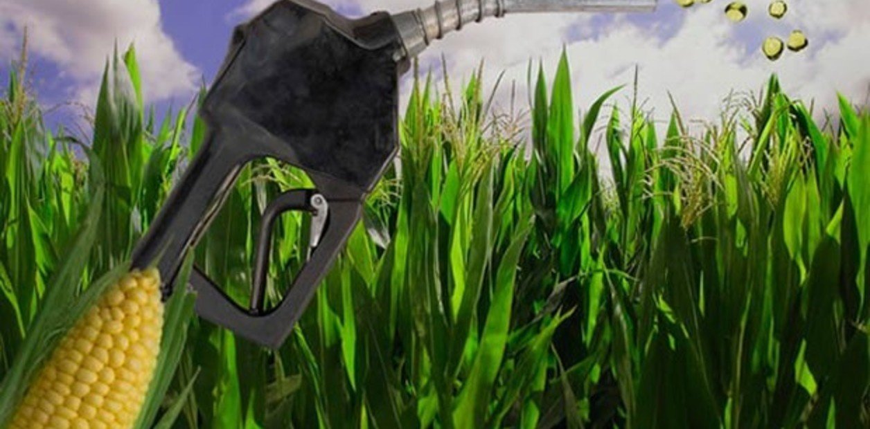 Un choclo en el tanque... del tractor