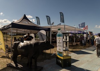 Nuevas tecnologías para el bienestar y manejo ganadero