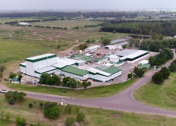 En medio de despidos y una deuda millonaria, el frigorífico que inventó las hamburguesas Paty inició el proceso de concurso preventivo de acreedores