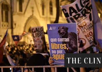 Cámara aprueba proyecto que prohíbe las carreras de perros y rechaza propuesta que buscaba regularlas