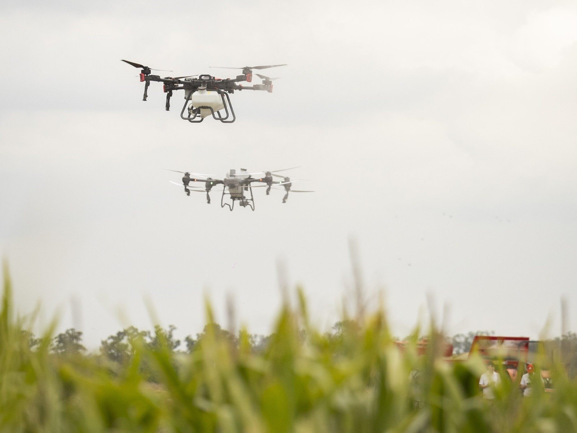 Drones: el fenómeno que pasó de ser una novedad tecnológica a integrarse en todos los sistemas productivos