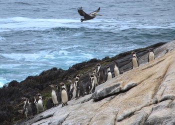 Subsecretario de Medio Ambiente y revisión de decretos ambientales: “El objetivo es asegurarnos de que cada acto sea técnicamente robusto y fije estándares apropiados”