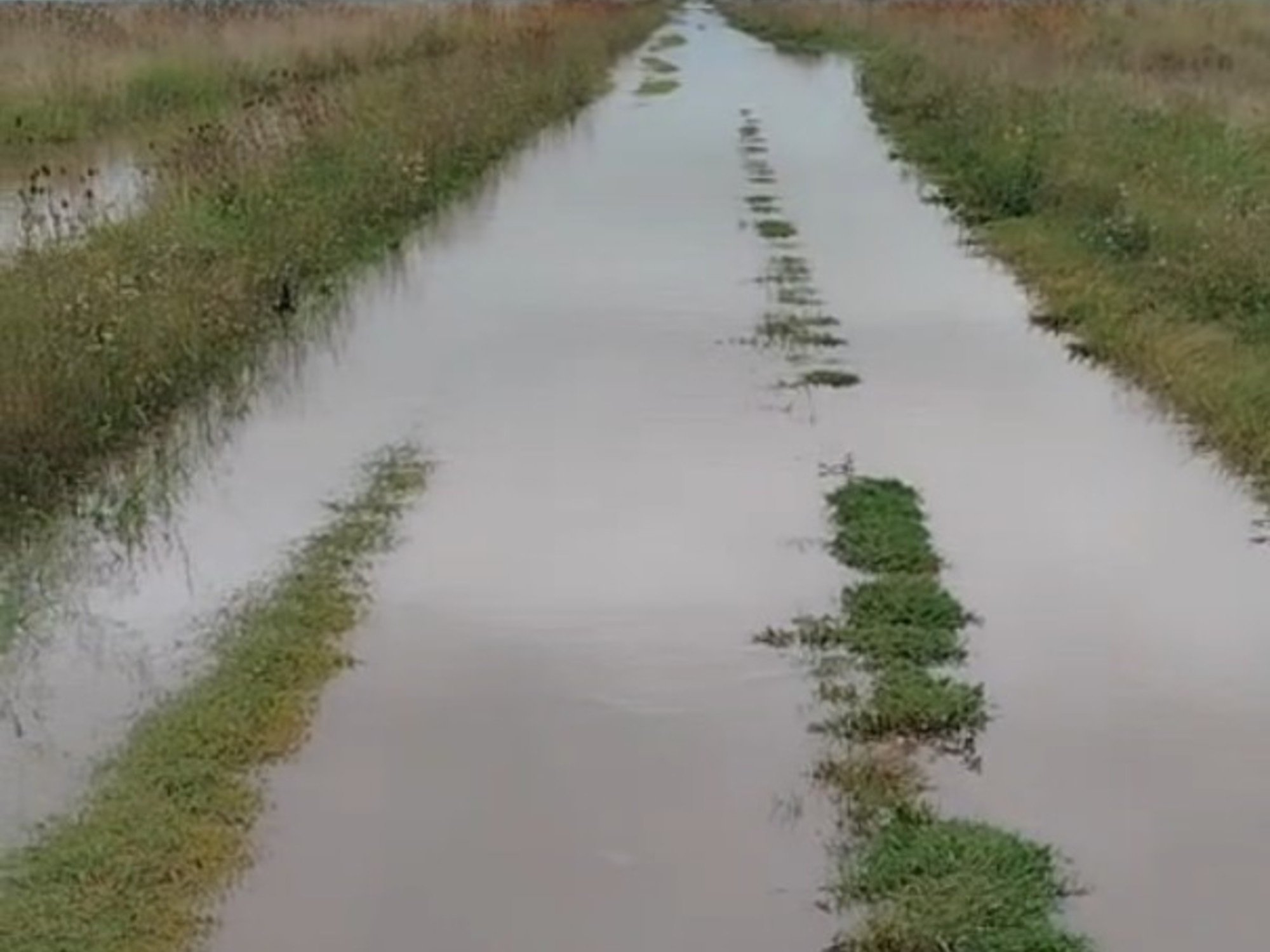 En plena cosecha, las lluvias comienzan a complicar zonas de Santa Fe y Buenos Aires