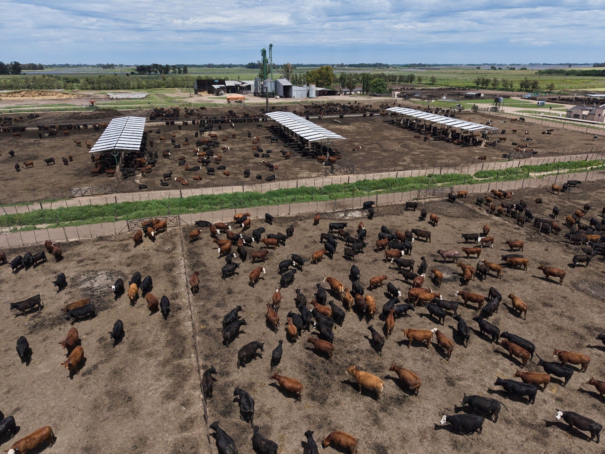La Vaca Muerta o la Vaca Gorda