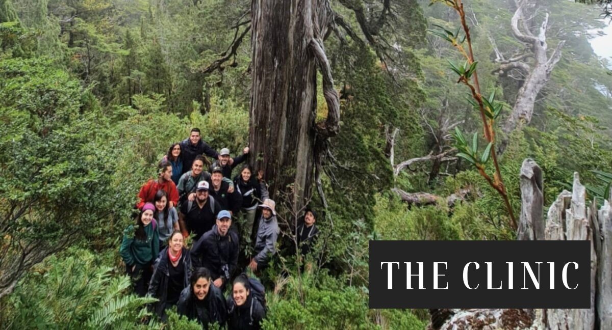 Para formar nuevos especialistas: impulsan nuevo laboratorio para restaurar bosques nativos frente al cambio climático