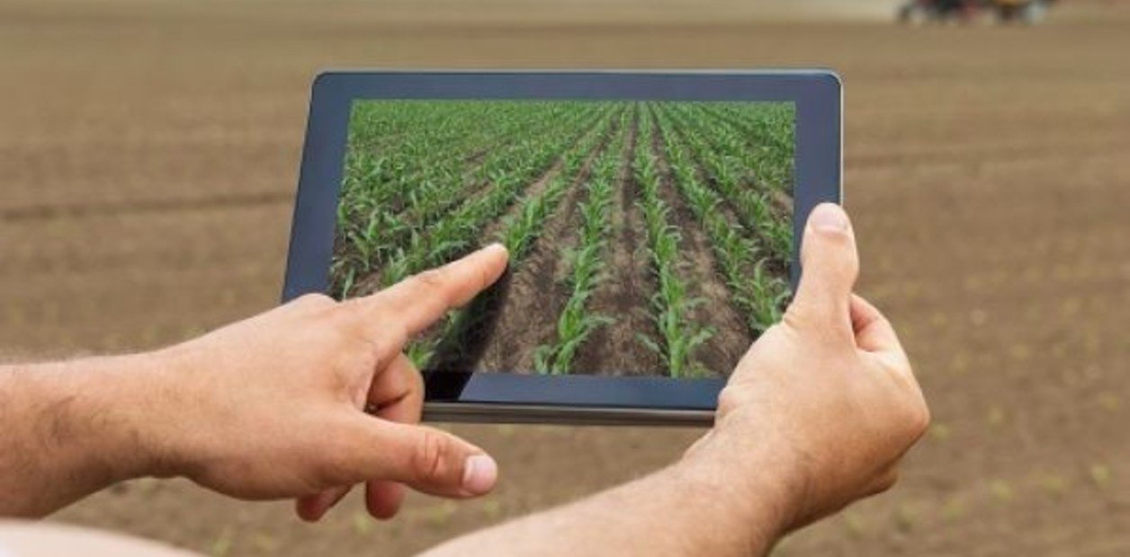 Del arado al algoritmo: cómo la IA puede salvar la agricultura de América Latina