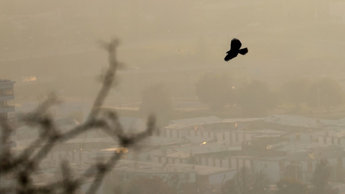 Alerta Ambiental para 17 comunas de O'Higgins este domingo