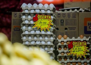 Un 88% de los chilenos asegura que ha subido su gasto en alimentos: mayores alzas se identifican en huevos y carnes