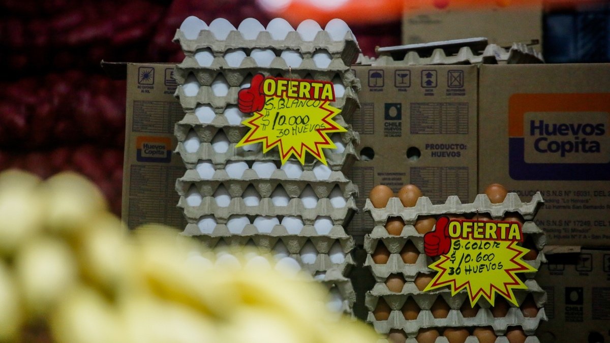 Un 88% de los chilenos asegura que ha subido su gasto en alimentos: mayores alzas se identifican en huevos y carnes