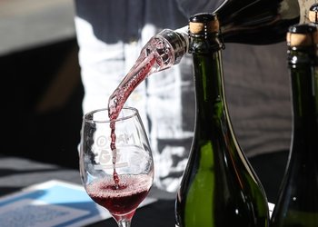 Día Nacional del Vino: Historia de la vitivinicultura en Chile y la nueva guía del enoturismo urbano