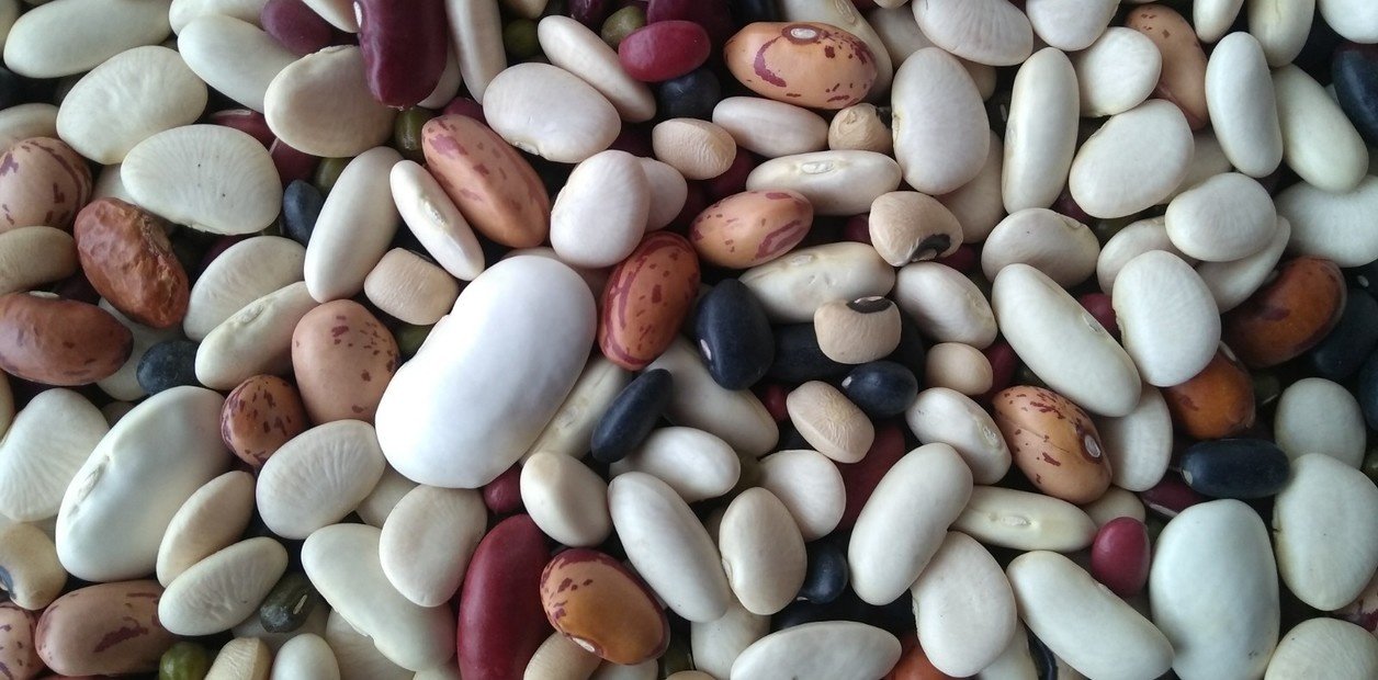 Las legumbres tuvieron un 2025 récord, pero con serios desafíos por delante
