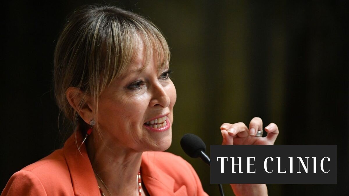 Diputada Gazmuri sobre masivo operativo en dispensadores de cannabis: “Ojalá que no sea un retroceso para los pacientes, porque esta ha sido una lucha muy larga”
