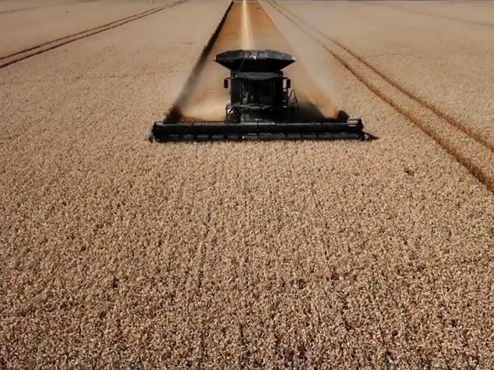 Conflicto bélico y bioeconomía: nueva oportunidad para Argentina