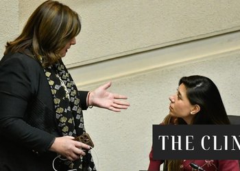 Escala la tensión en el PS: Vodanovic y Cicardini protagonizan áspero cruce en plena Sala del Senado