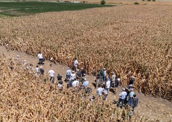 PT Farm apuesta a Expoagro 2026 como vidriera de su plataforma de articulación sectorial