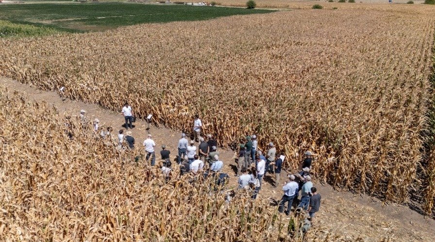 PT Farm apuesta a Expoagro 2026 como vidriera de su plataforma de articulación sectorial