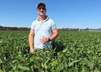 Llegaron las lluvias y la gruesa se puso nuevamente en carrera