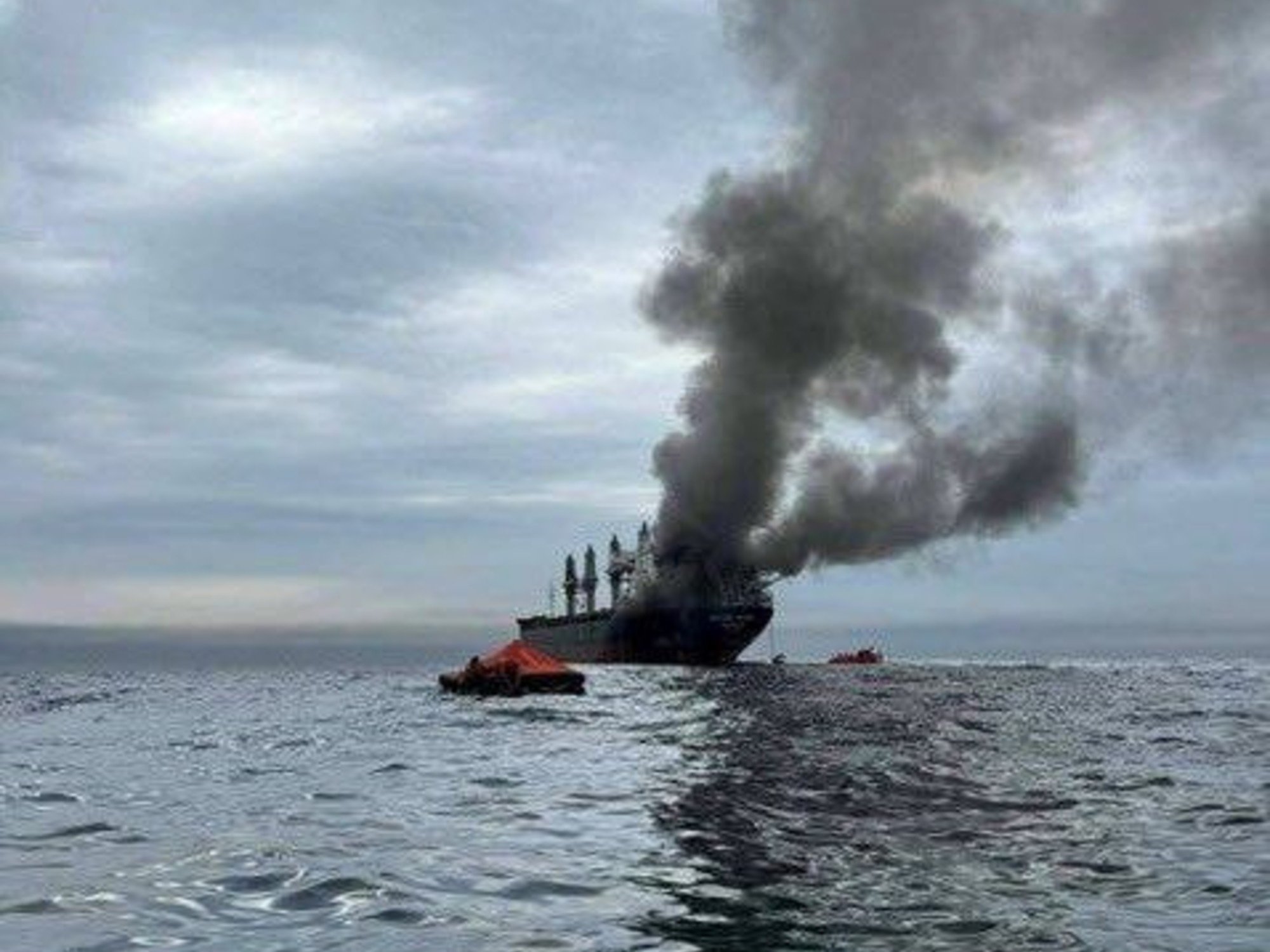 La soja sube en Chicago impulsada por el petróleo, pero la enorme oferta sudamericana amenaza el rally