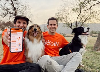 La solución para dueños de perros: DOGIN, la app chilena que permite encontrar cuidadores y paseadores en minutos