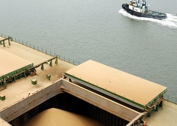 La competitividad de la soja argentina, en jaque por el costo del flete
