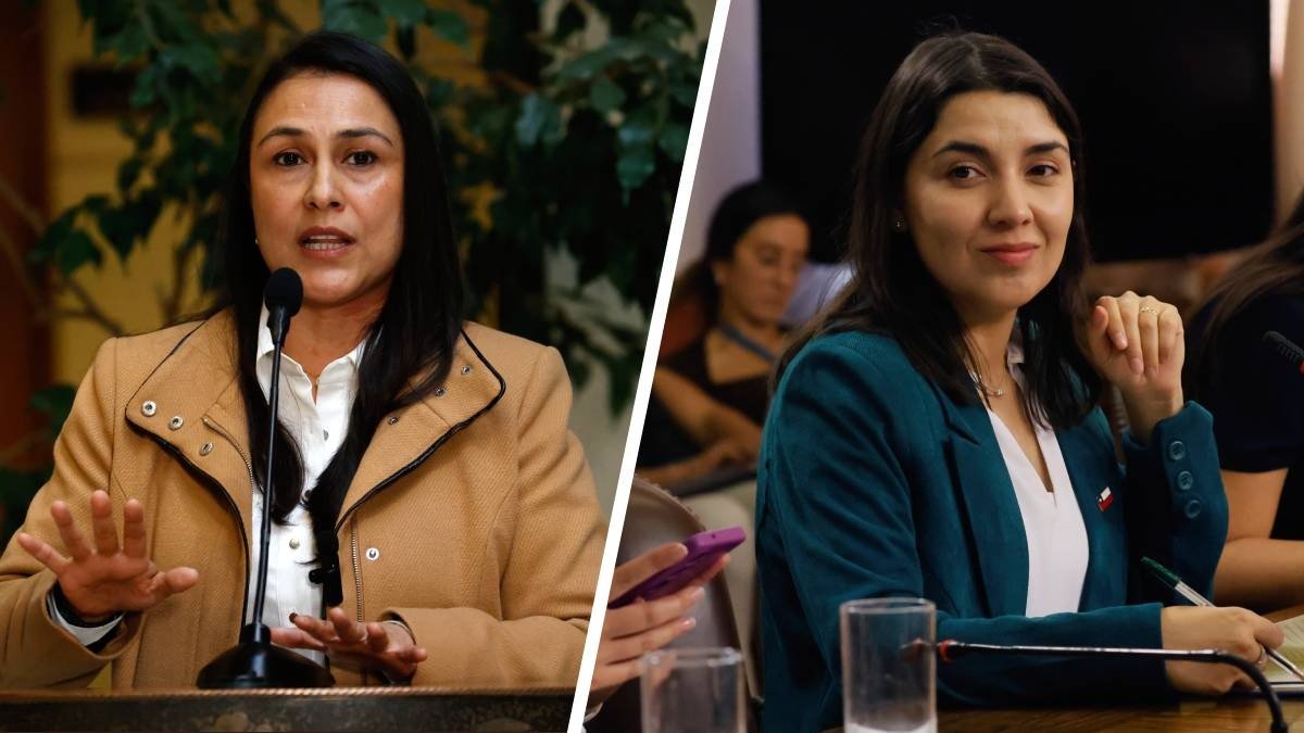 Diputada del PSC pidió a Gobierno patrocinar proyecto que refuerza protección a víctimas VIF