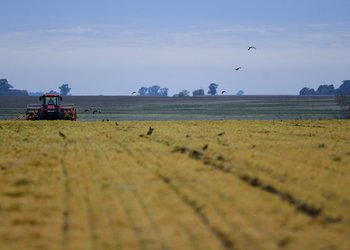 La guerra y los costos del agro vuelven a poner el foco en las retenciones