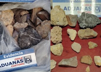 Piezas fueron ingresadas desde Argentina: Aduanas incautó 18 fósiles paleontológicos desde maletero de auto en Paso Pehuenche