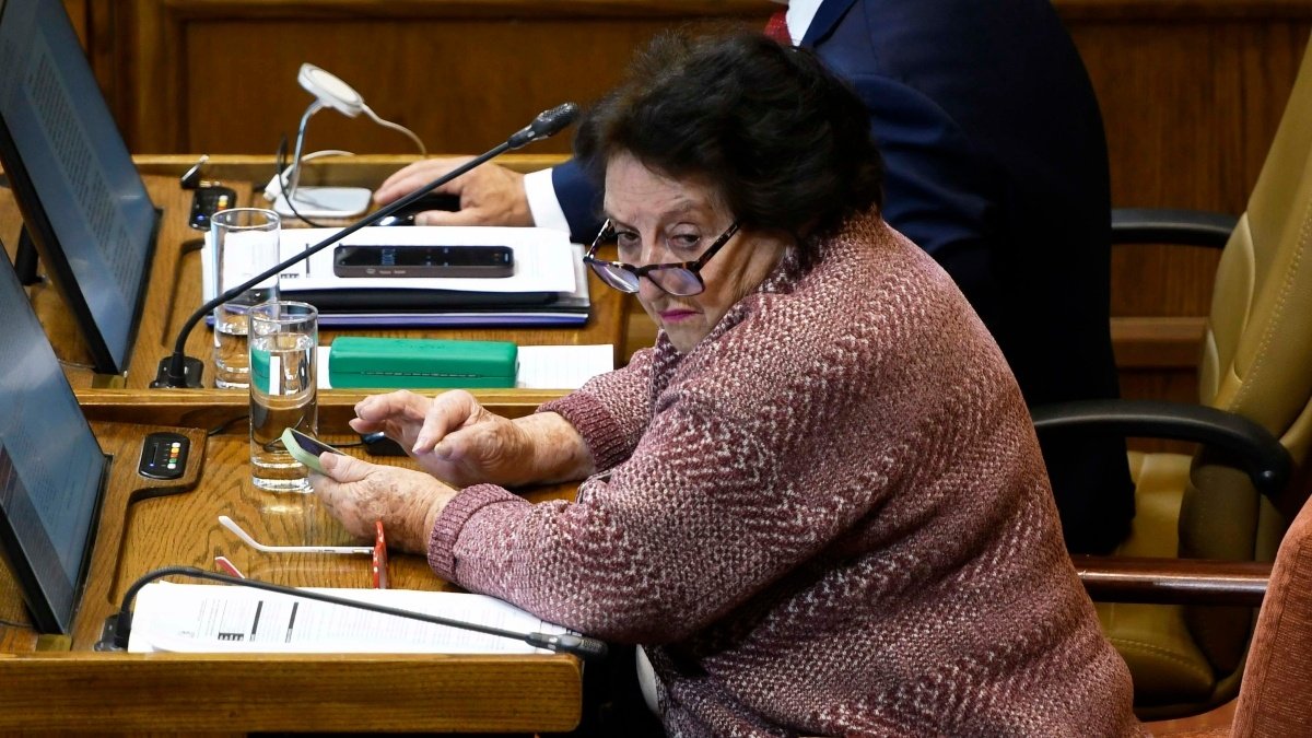 “Sin ninguna base y con crueldad”: Bancada DC denunciará a María Luisa Cordero por graves dichos sobre la desaparecida concejala María Ignacia González