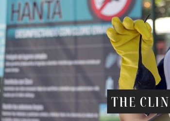 Letalidad se duplicó: todo lo que tienes que saber sobre el Hanta y por qué el Minsal decidió decretar una alerta sanitaria