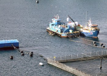 Familia de pescador fallecido en accidente en alta mar recibirá millonaria indemnización tras fallo de la Corte Suprema