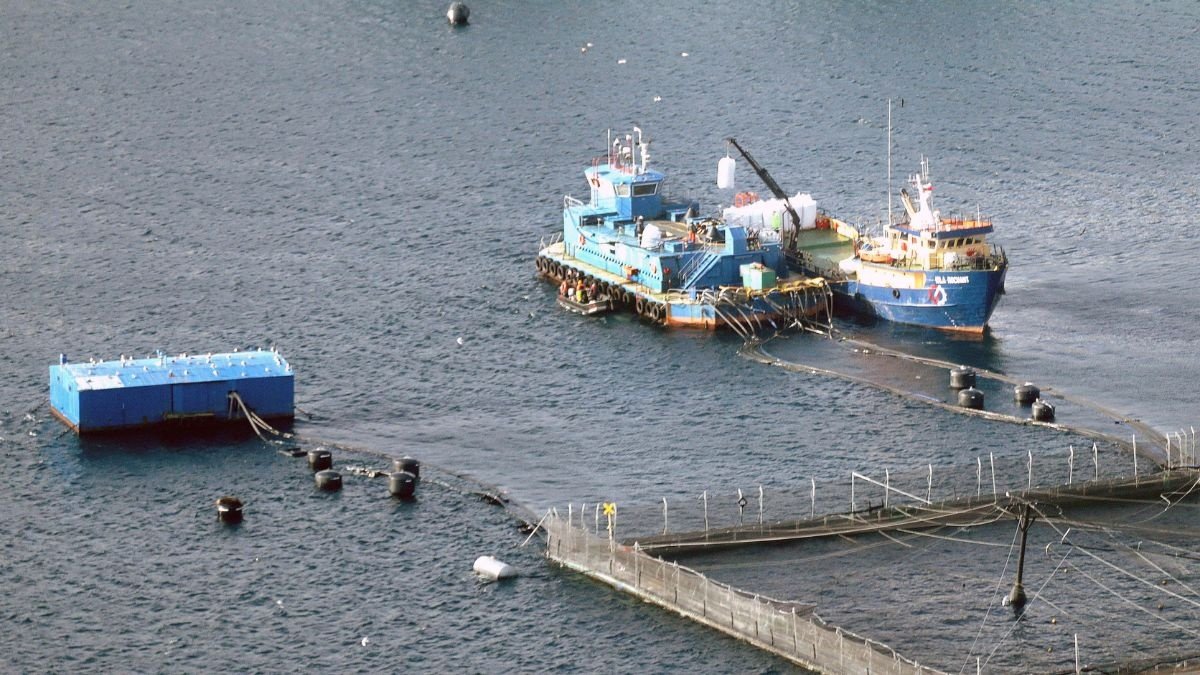 Periodista reportando noticias