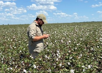 El joven que impulsa la producción de un cultivo regional