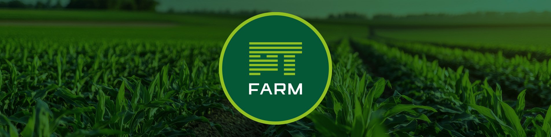 Periodista reportando noticias