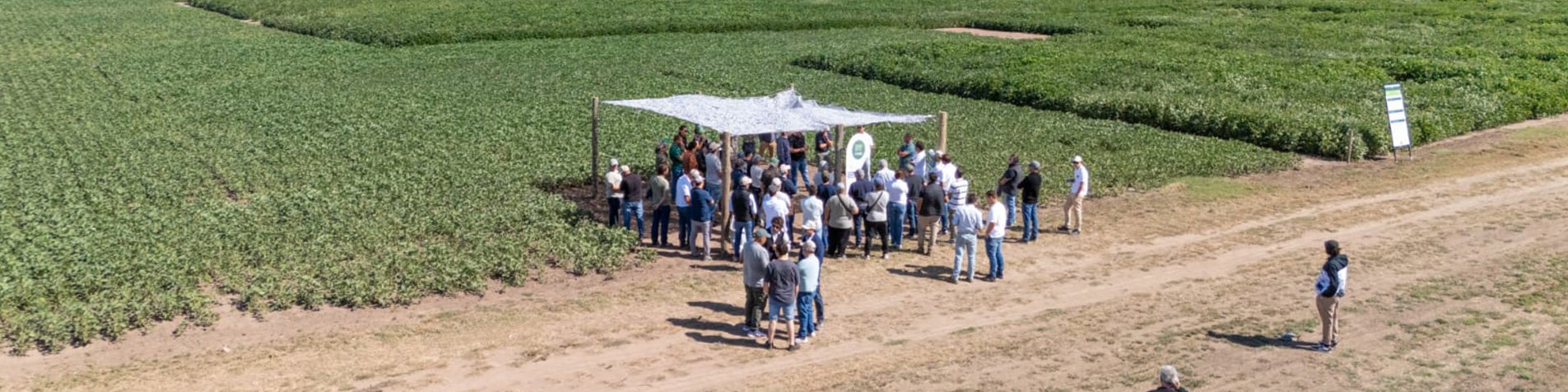 Periodista reportando noticias