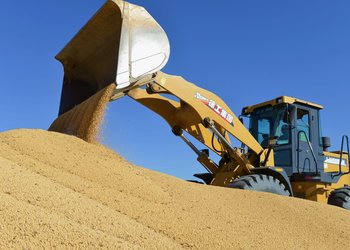 China importó una cifra inédita de soja: el desplazamiento de Estados Unidos por Sudamérica como principal proveedor