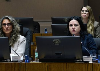Subsecretaria Quintana descarta que no exista un plan de seguridad: “Los diputados esperaban que se les diera un librito anillado”