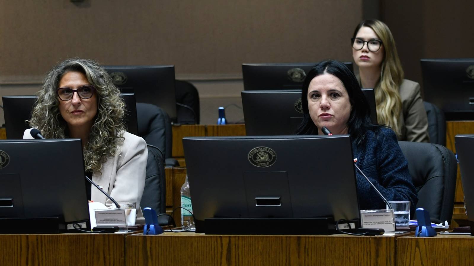 Subsecretaria Quintana descarta que no exista un plan de seguridad: “Los diputados esperaban que se les diera un librito anillado”
