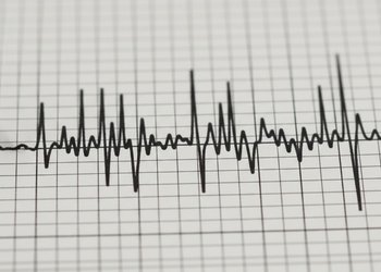 Temblor de magnitud 6,0 se sintió de Coquimbo a Maule: SHOA informa que no hay riesgo de tsunami