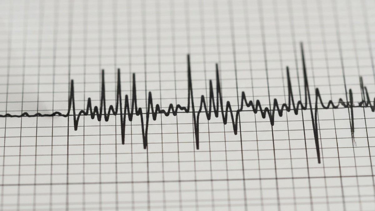 Temblor de magnitud 6,0 se sintió de Coquimbo a Maule: SHOA informa que no hay riesgo de tsunami