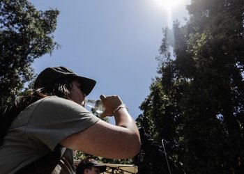 Alerta por “altas temperaturas extremas” para Coquimbo, Valparaíso y la RM: se pronostican máximas de hasta 37°