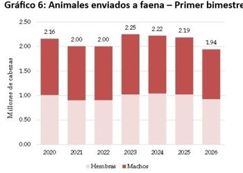 Producción ganadera y precios de la carne: ¿en busca de un nuevo equilibrio?