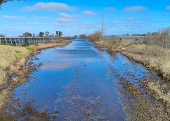 Fallo histórico: productores lograron que un juez dictaminara la tasa vial nula por la falta de contraprestación por parte del municipio
