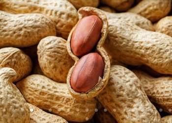 Líderes en maní, aceite de soja y aceite y jugo de limón: los productos  del campo llegan al 75% de los países del mundo