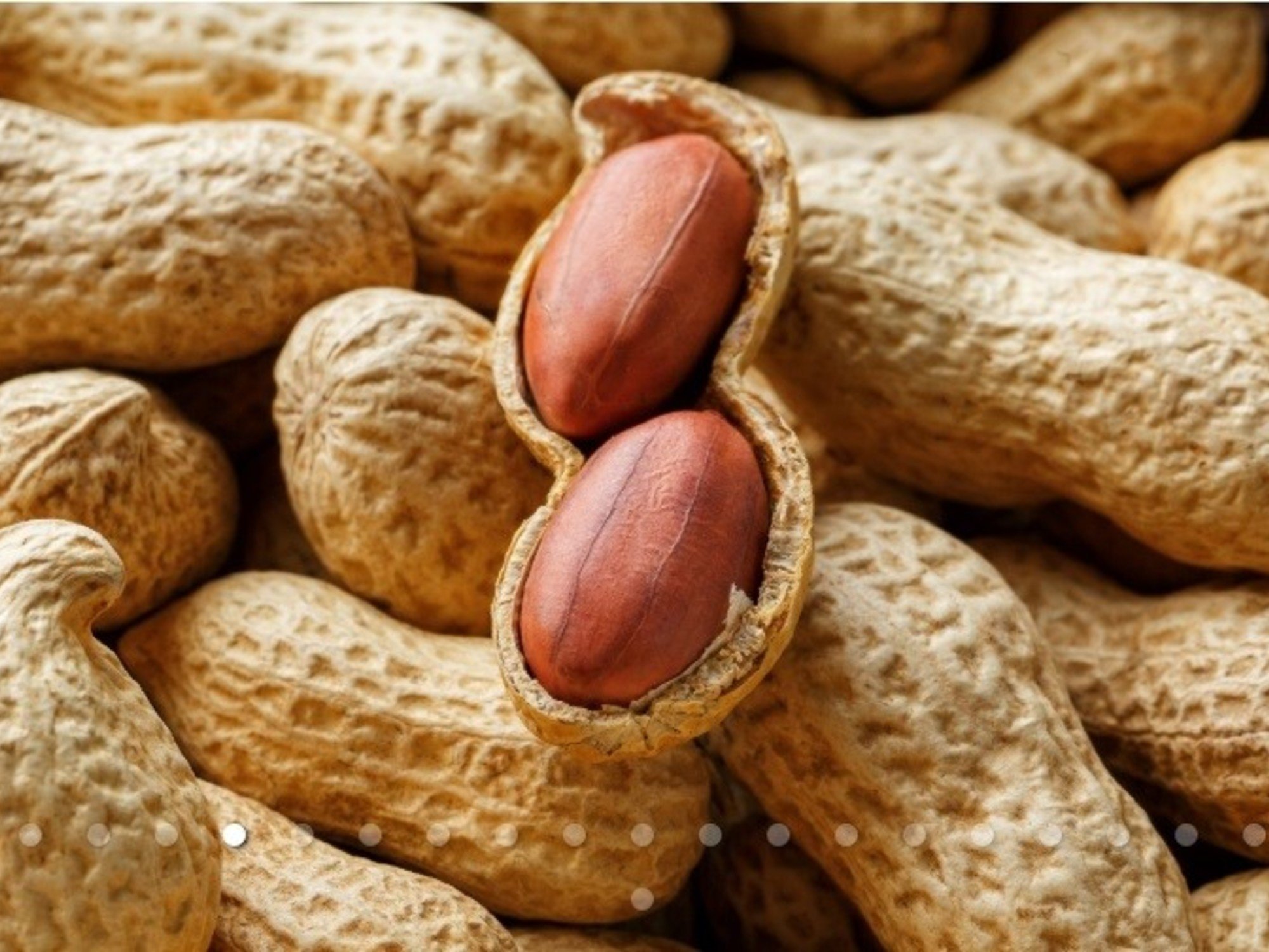 Líderes en maní, aceite de soja y aceite y jugo de limón: los productos  del campo llegan al 75% de los países del mundo